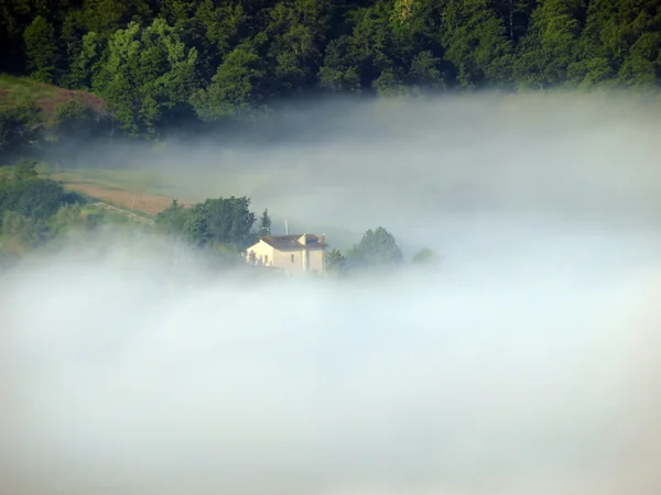 stock image Fabulous landscape of the foggy morning in Tuscany.