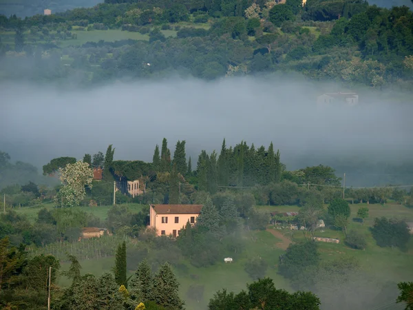 Paisagem fabulosa da manhã nebulosa na Toscana. — Fotografia de Stock