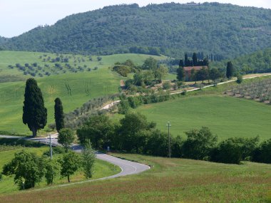 The beautiful landscape of Tuscany. clipart