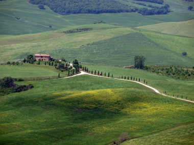 Val d Orcia'nın manzarası. Toskana. İtalya