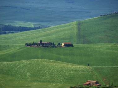 The landscape of the Val d Orcia. Tuscany. Italy clipart
