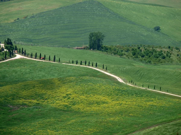 El paisaje de la Val d Orcia. Toscana. Italia — Foto de Stock