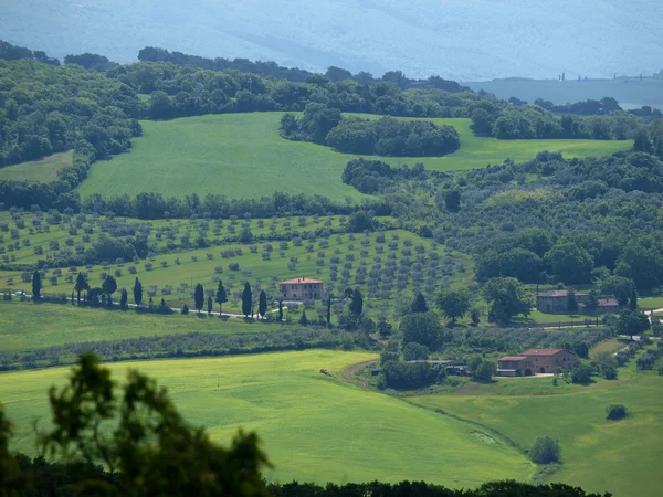 Val d Orcia'nın manzarası. Toskana. İtalya — Stok fotoğraf