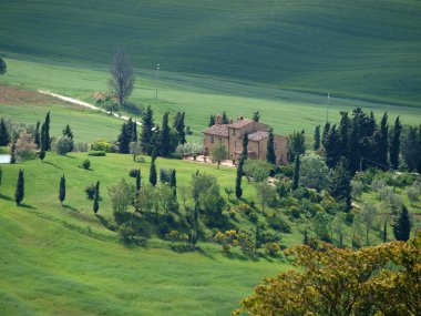 The landscape of the Val d'Orcia. Tuscany. Italy clipart
