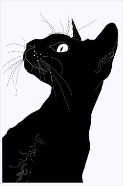 Silhouette of a cat clipart