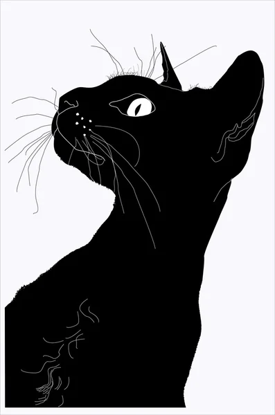 Silhouette of a cat — Stock Vector