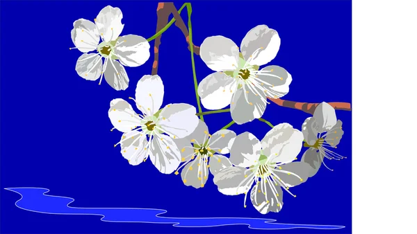 Fleurs de pomme — Image vectorielle