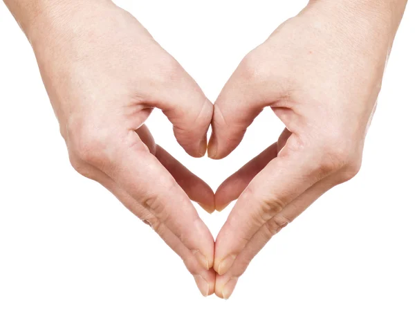 stock image Hands heart