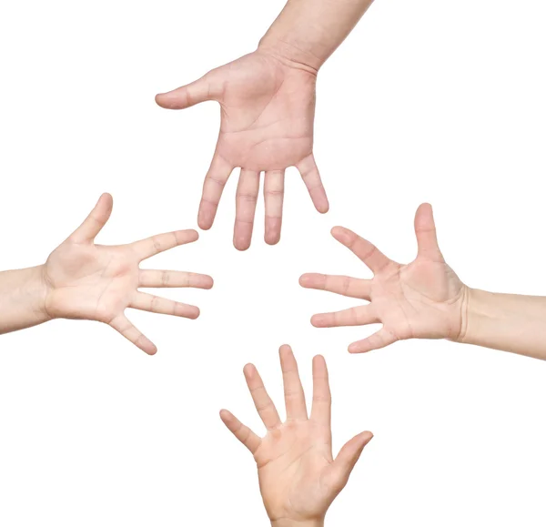 Four hands — Stock Photo, Image