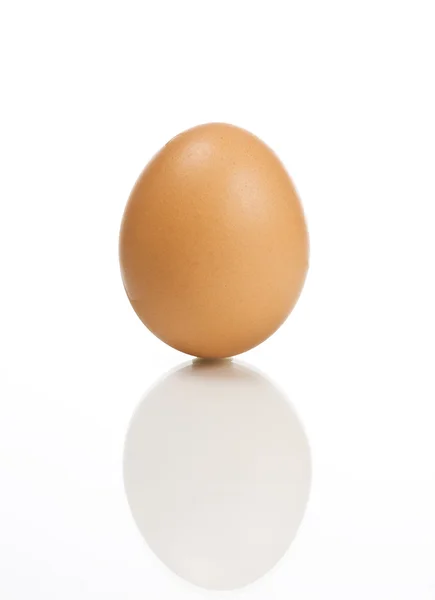 Un uovo — Foto Stock