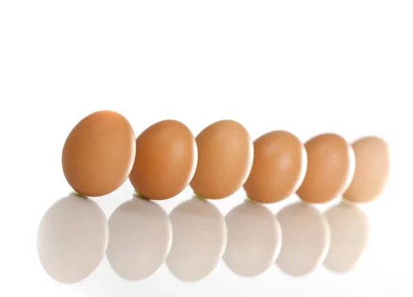 Fila delle uova — Foto Stock