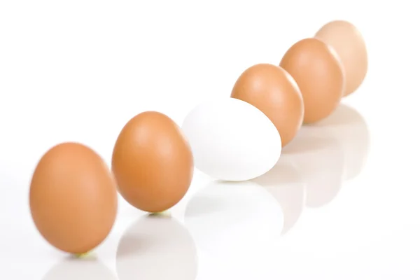 Valkoinen muna — kuvapankkivalokuva