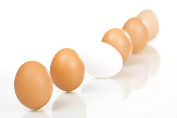 Řádek vajíček — Stock fotografie