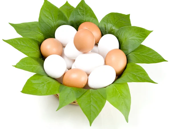 Яйца на зеленом — стоковое фото