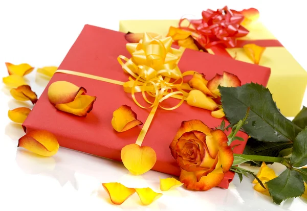 Růže dárek — Stock fotografie