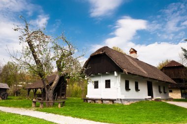 Village house in Croatian countryside clipart