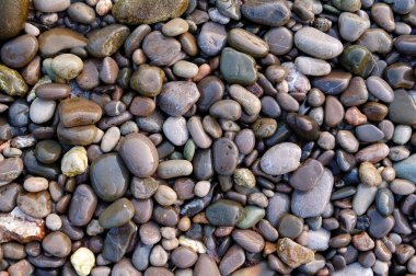 Marine wet pebbles of different colors clipart