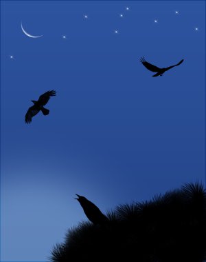 Three Crows in the Moonlight clipart