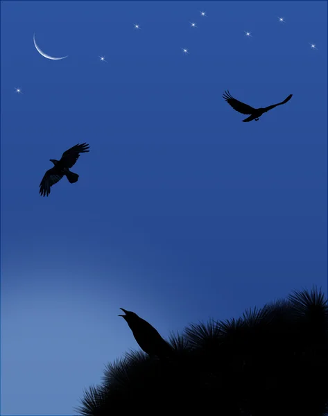 Three Crows in the Moonlight — Stock Photo, Image