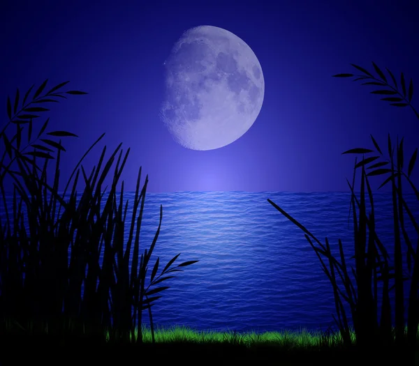 Lumière de la lune sur l'eau — Photo