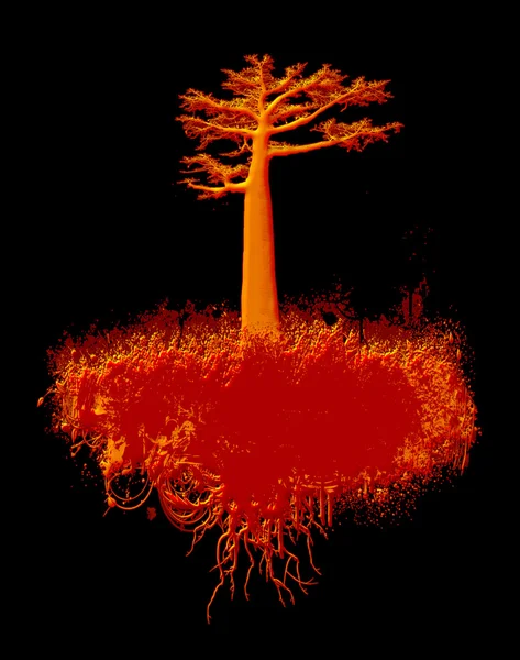 Drzewo ognia — Zdjęcie stockowe