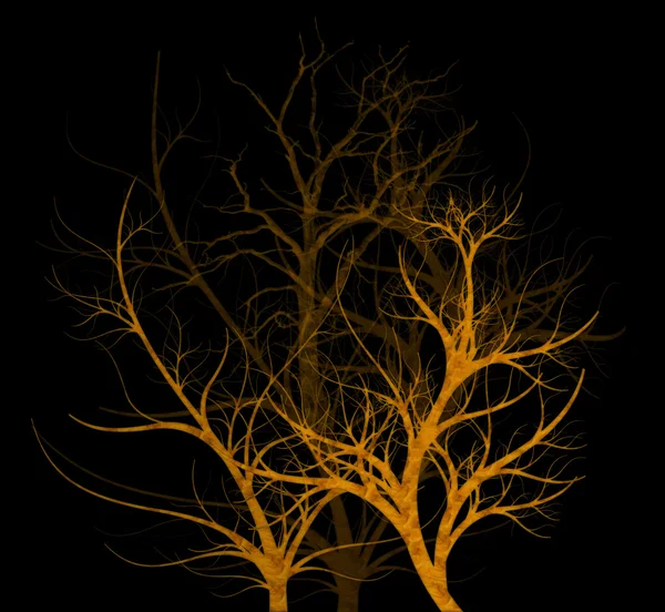Spooky ağaçlar — Stok fotoğraf