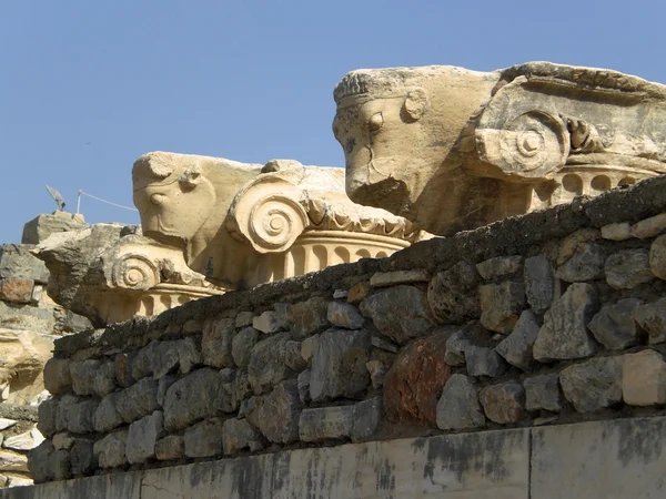 Turkey Ephesus — Stock Photo, Image