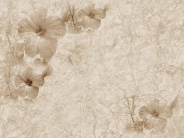 Vintage grunge textured paper with floral ornament clipart