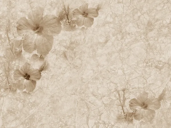 Papel texturizado grunge vintage con adorno floral — Foto de Stock