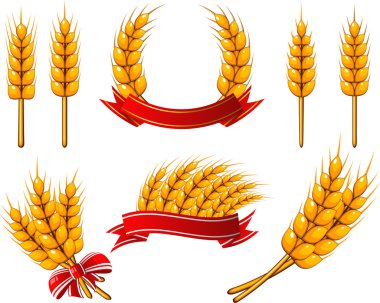 Collection of design elements. Wheat clipart