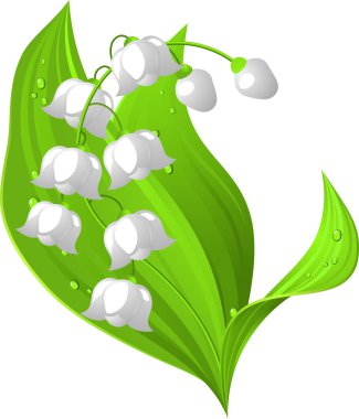 Lily of the valley clipart