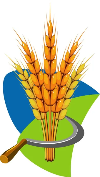 小麦和镰状的芽层 — 图库矢量图片