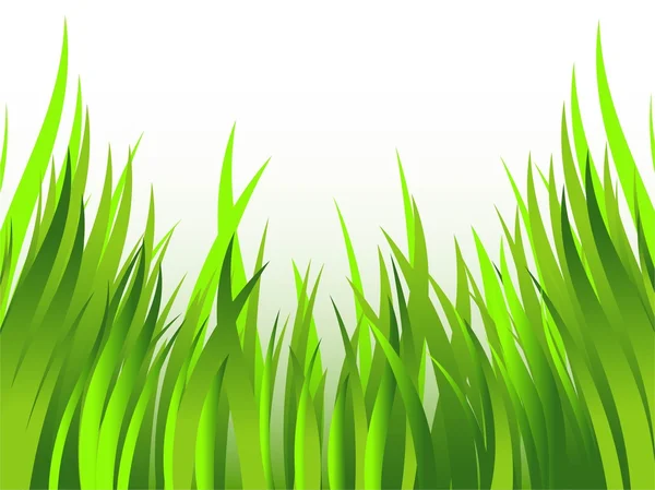 Grass — Stock Vector