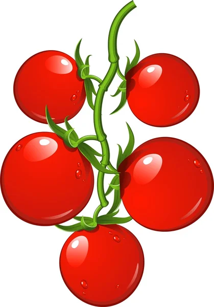 Tomatoes on a branch — Stock Vector