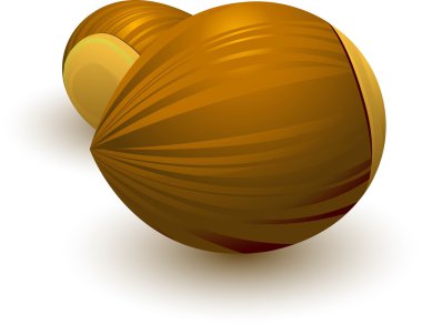 Hazelnuts clipart