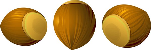 Three hazelnuts from different perspectives