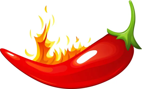 Rød chili-pepper – stockvektor