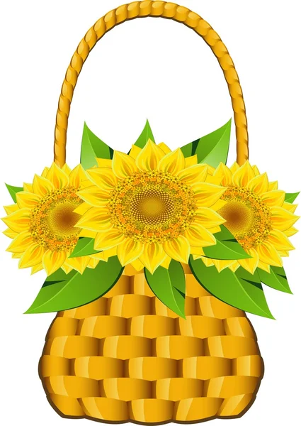 Basket sunflowers — Stock Vector