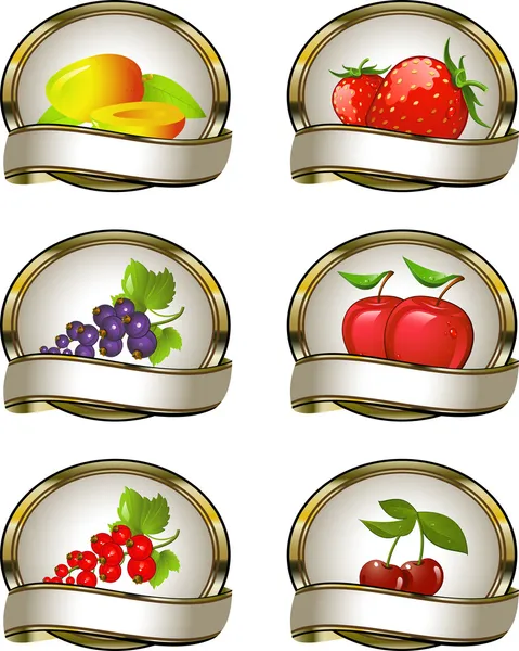 Collection of labels for fruit products — Stock Vector