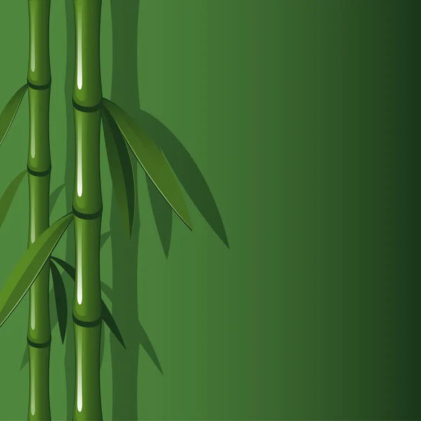 Fundo vetorial com bambu —  Vetores de Stock