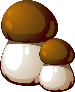 Ceps clipart