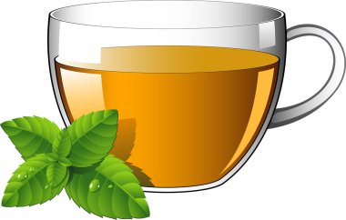 Glass cup of tea with mint leaves clipart