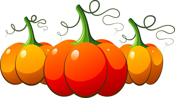 Three orange pumpkins over white — Stock Vector