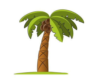 Palm tree illustration clipart