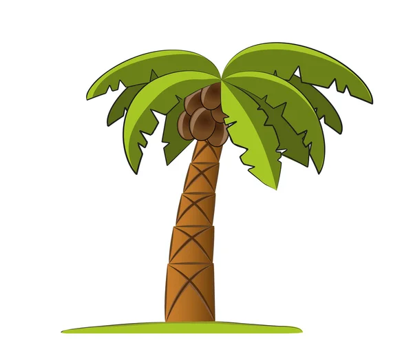 Palmiye ağacı illüstrasyon — Stok Vektör