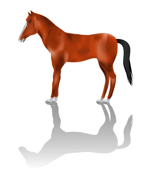Illustrazione dettagliata del vettore cavallo — Vettoriale Stock