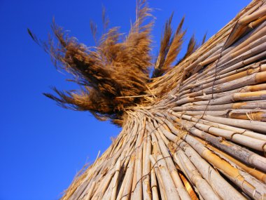 rattan şemsiye yakın çekim fotoğraf