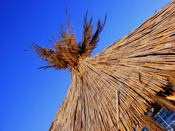 Stock image Close-up photo of rattan umbrella