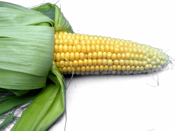 Kukurydza ona białe tło — Zdjęcie stockowe