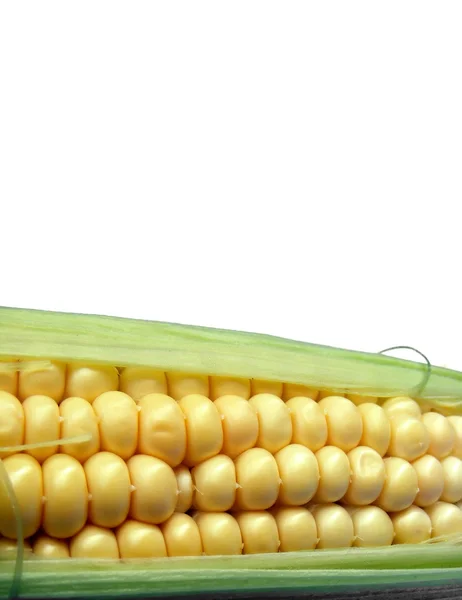 Maïs ona witte achtergrond — Stockfoto